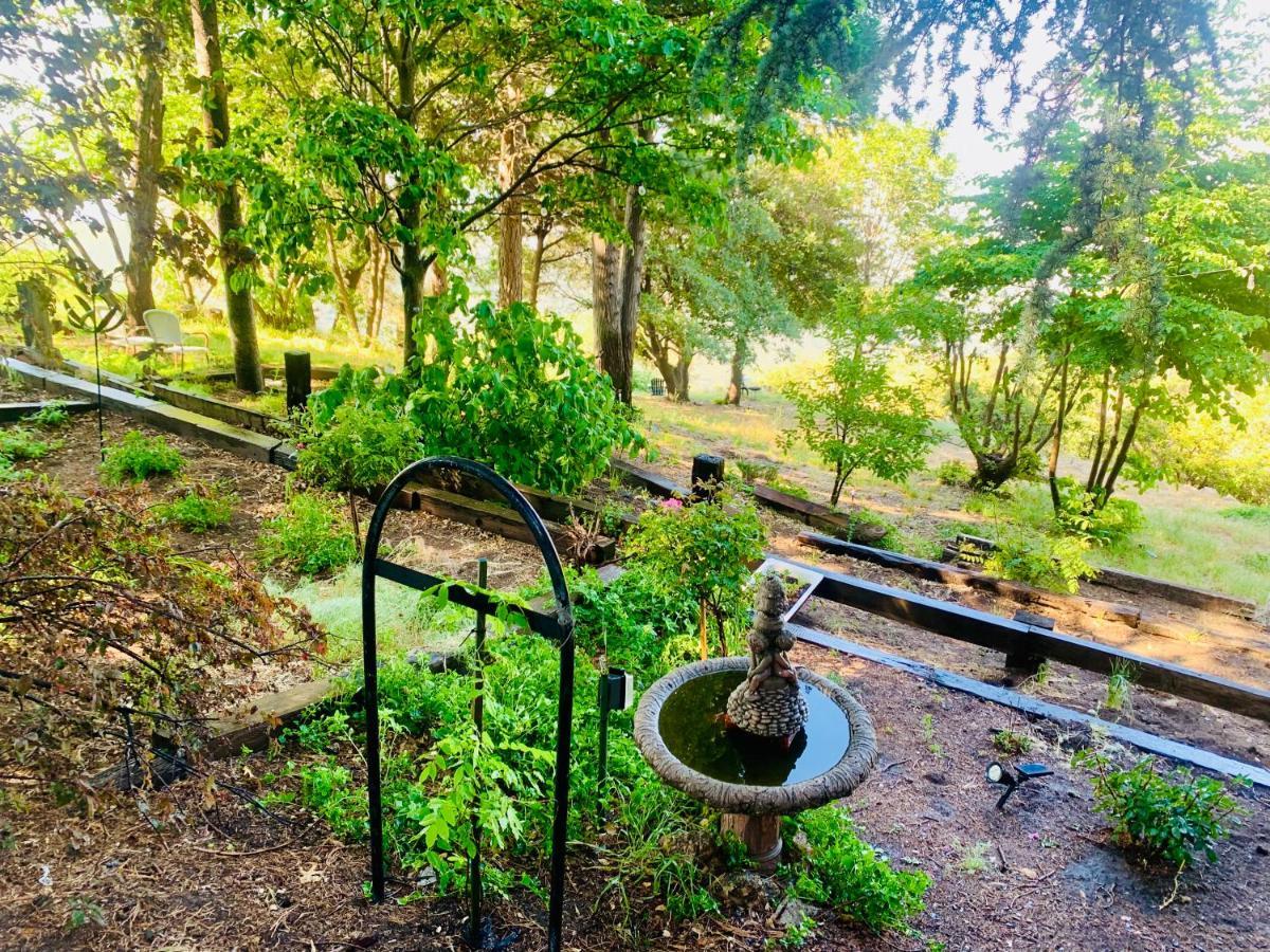 100 Mile View-Fire Pit, Romantic, Peaceful, Private Crestline Εξωτερικό φωτογραφία