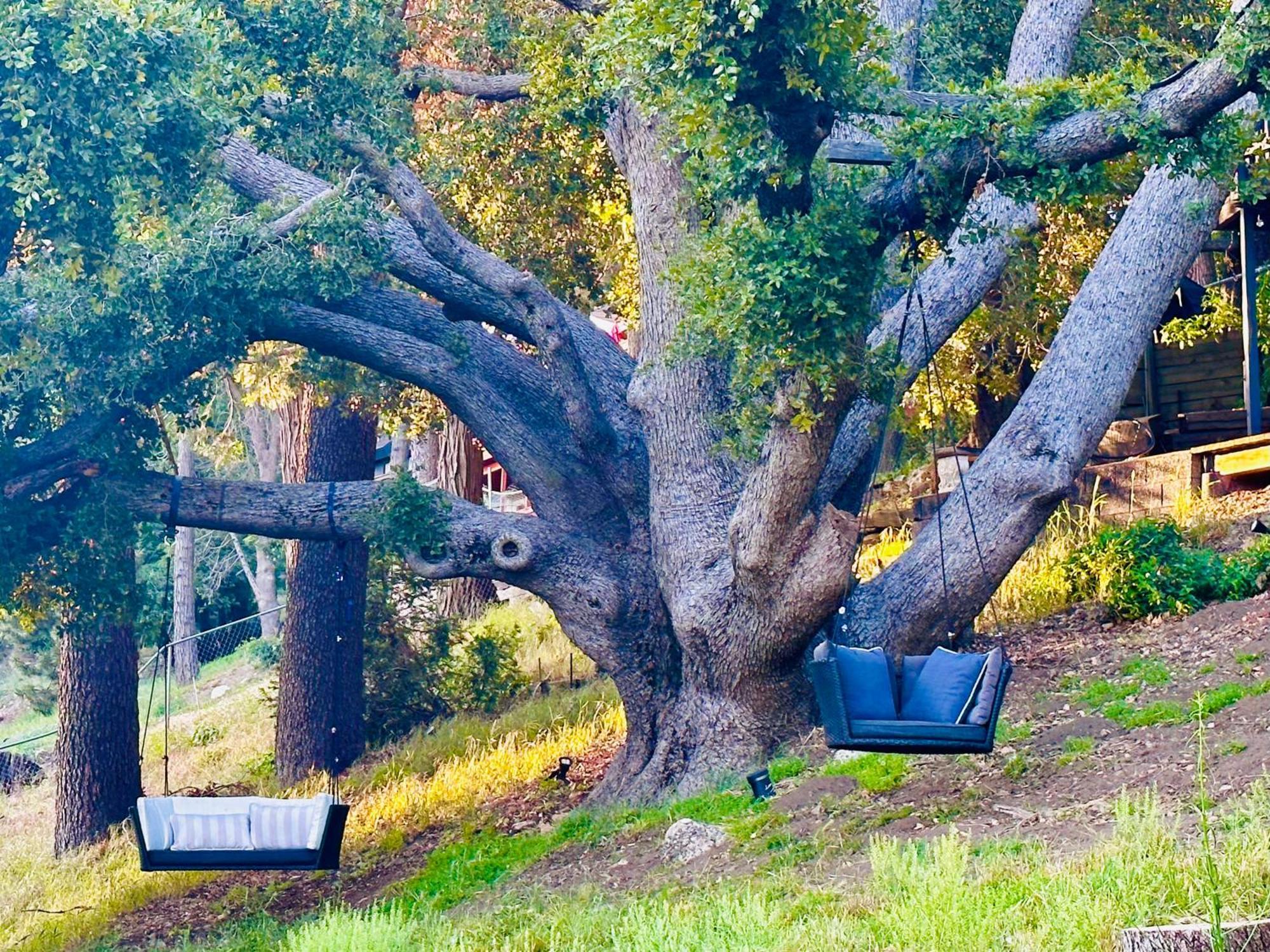 100 Mile View-Fire Pit, Romantic, Peaceful, Private Crestline Εξωτερικό φωτογραφία