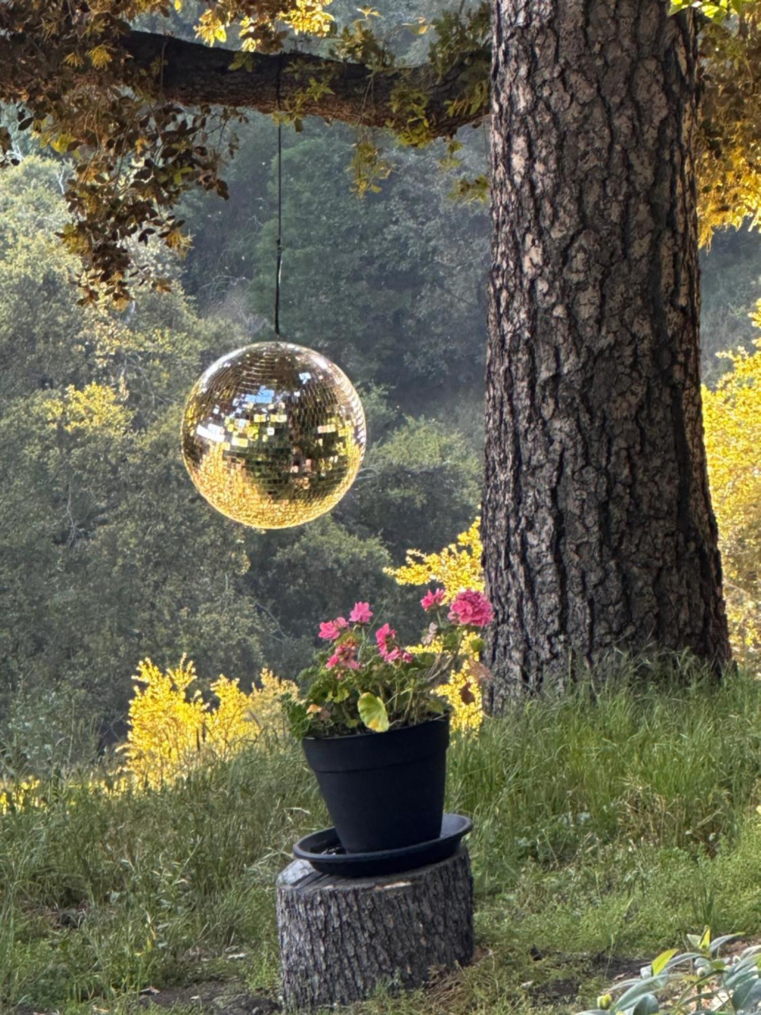 100 Mile View-Fire Pit, Romantic, Peaceful, Private Crestline Εξωτερικό φωτογραφία