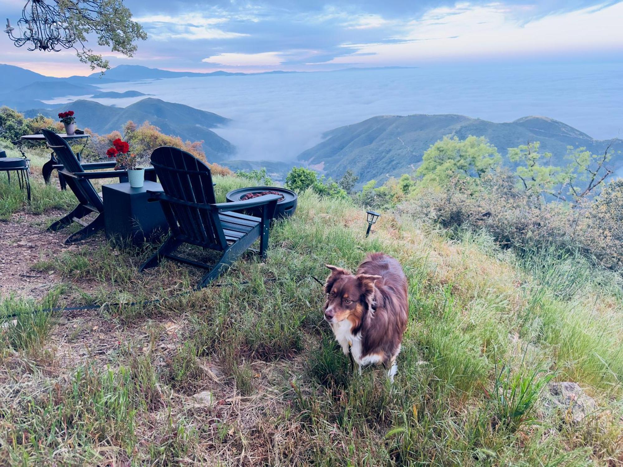 100 Mile View-Fire Pit, Romantic, Peaceful, Private Crestline Εξωτερικό φωτογραφία